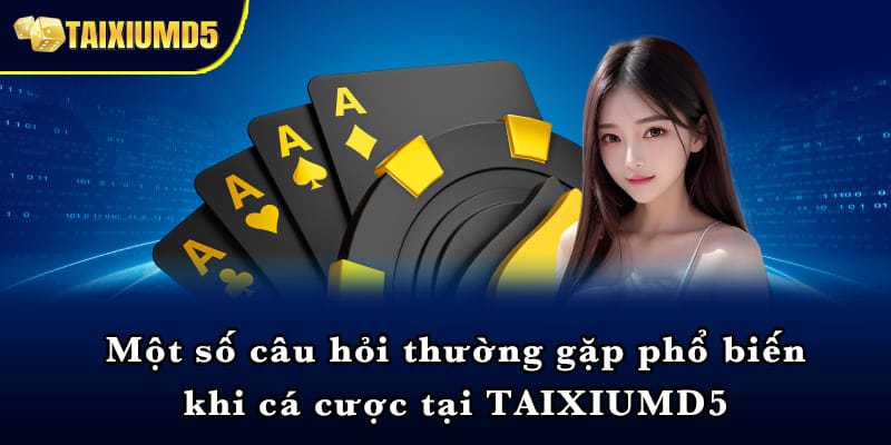 tài xỉu md5